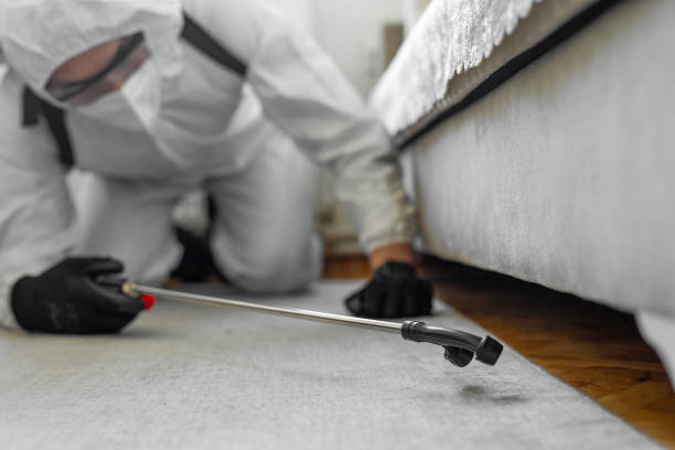 Professional Termite Control technician working in Kings Grant, NC
