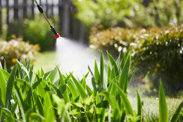 24/7 Emergency Termite Control experts in Kings Grant, NC