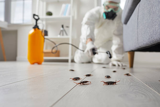 Trusted Fumigation Services service in Kings Grant, NC - Nex Pest Control
