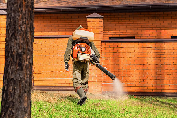 Trusted Termite Control service in Kings Grant, NC - Nex Pest Control